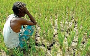 পরিবেশ নিয়ে আমরা কতটা সচেতন ২