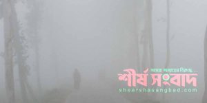 উলিপুরে শীতে ঢাকা রাস্তা-উঁকি দিচ্ছে শীতের আগাম বার্তা