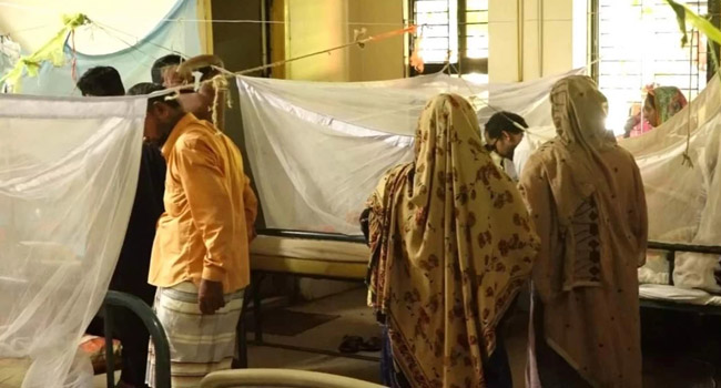 dengue patients ডেঙ্গু ডেঙ্গুরোগী ডেঙ্গুরুগী (1)