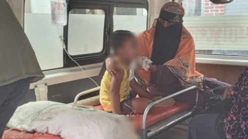 সাপের কামড়ে শিশুর মৃত্যু, অ্যান্টিভেনম না দেওয়ার অভিযোগ